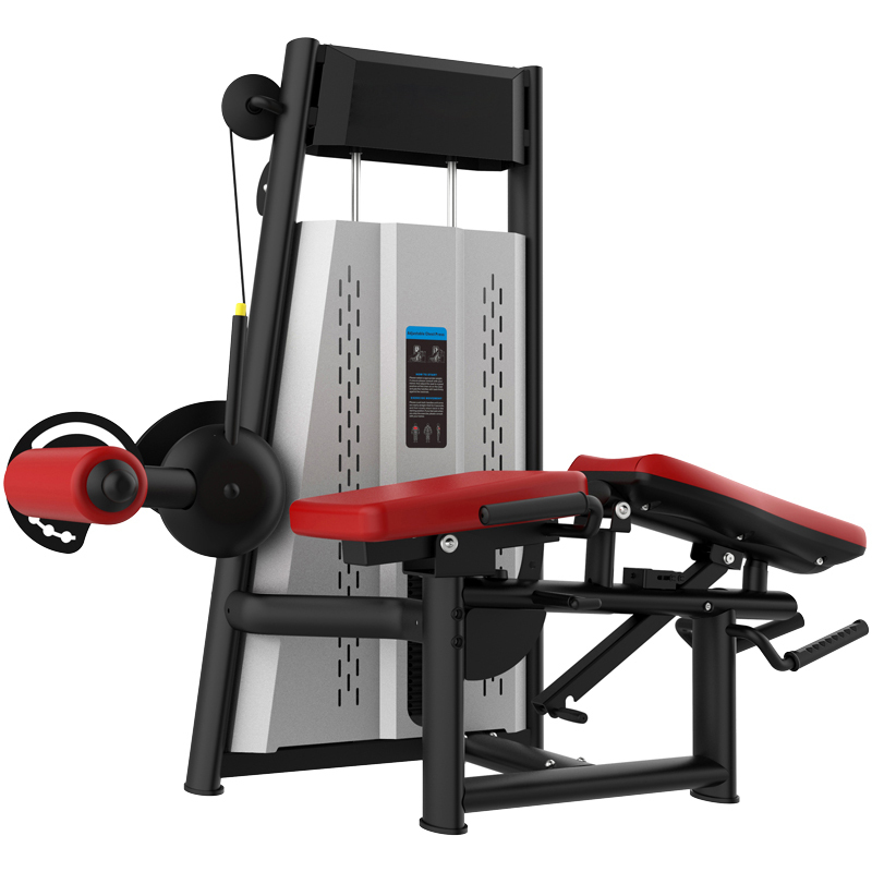 Raptor Combo Leg Curl TZ-A6058 Raptor Combo Leg Curl TZ-A6058