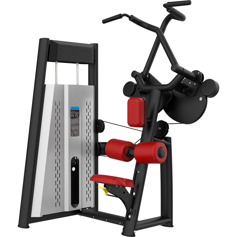 Raptor Lat Pulldown TZ-A6020 Raptor Lat Pulldown TZ-A6020
