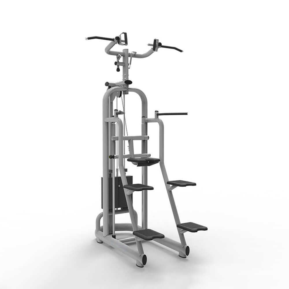 Vortex Assisted Chin Up/Dip TZ-6019