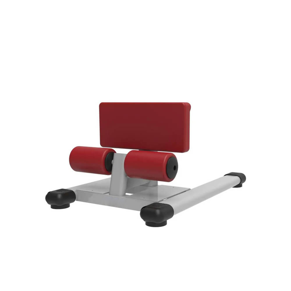 Vortex Sissy Squat Station TZ-6059 Vortex Sissy Squat Station TZ-6059